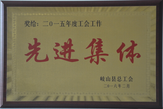 集團(tuán)公司工會(huì)榮獲先進(jìn)集體榮譽(yù)稱號