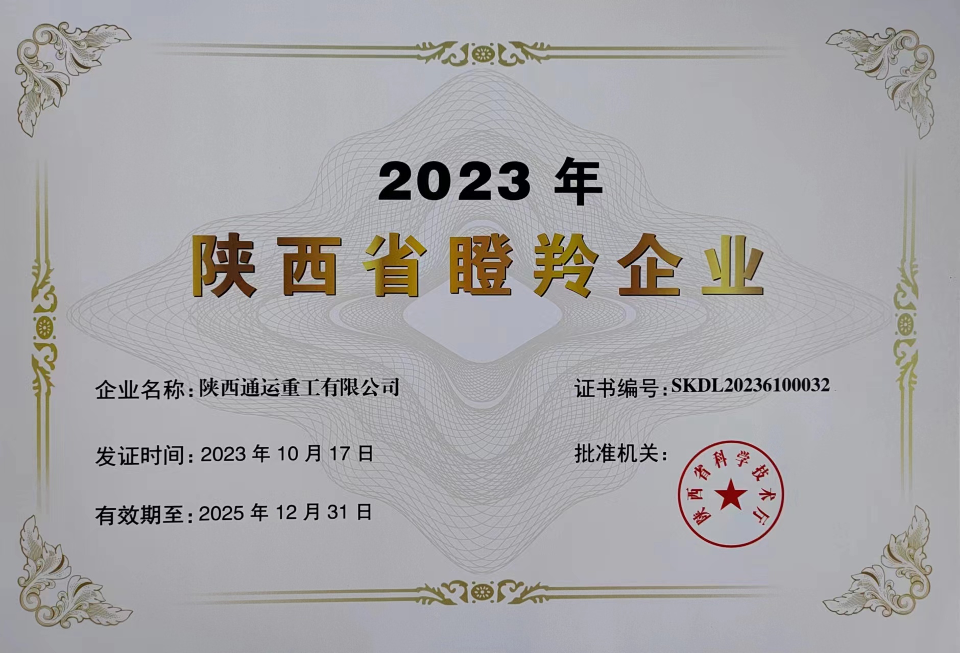 喜報(bào)：雙瞪羚榮譽(yù)，通運(yùn)集團(tuán)的里程碑